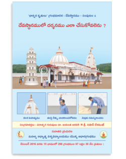దేవస్థానములో దర్శనం ఎలా చేసుకోవలెను ?