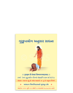 ગુરુકૃપાયોગ અનુસાર સાધના