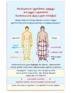 வேஷ்டியை (லுங்கியை ஒத்தது) காட்டிலும் பஞ்சகச்சம்  மேன்மையாக இருப்பதன் சாஸ்திரம்