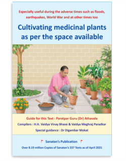 Cultivating medicinal plants as per the space available