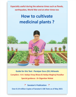 How to cultivate medicinal plants ?